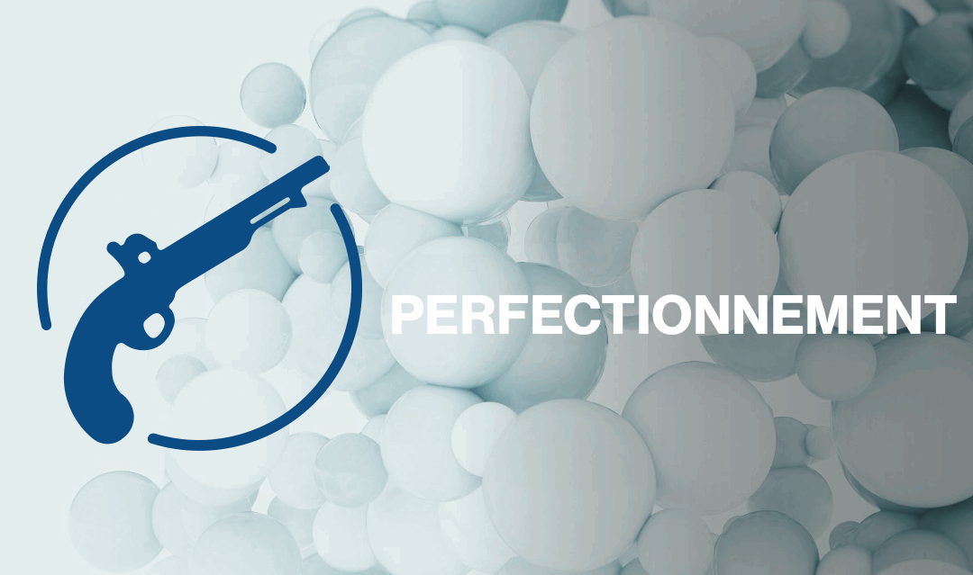 Journée Armes Anciennes